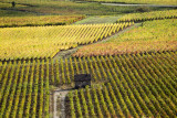 img-8619-161276