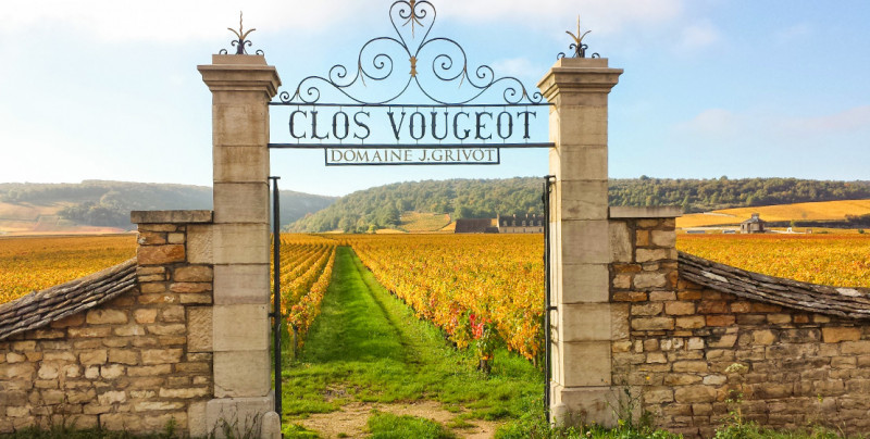 photo-porte-clos-vougeot-102748 photo-porte-clos-vougeot-102748