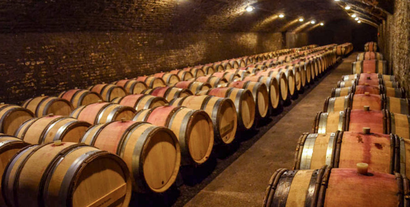 photo-visite-de-caves-cote-beaune-102751 photo-visite-de-caves-cote-beaune-102751